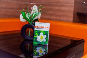 Comment guérir de la perte d'un enfant : les réponses avec la Mam'ange Nadège Bignon Anago